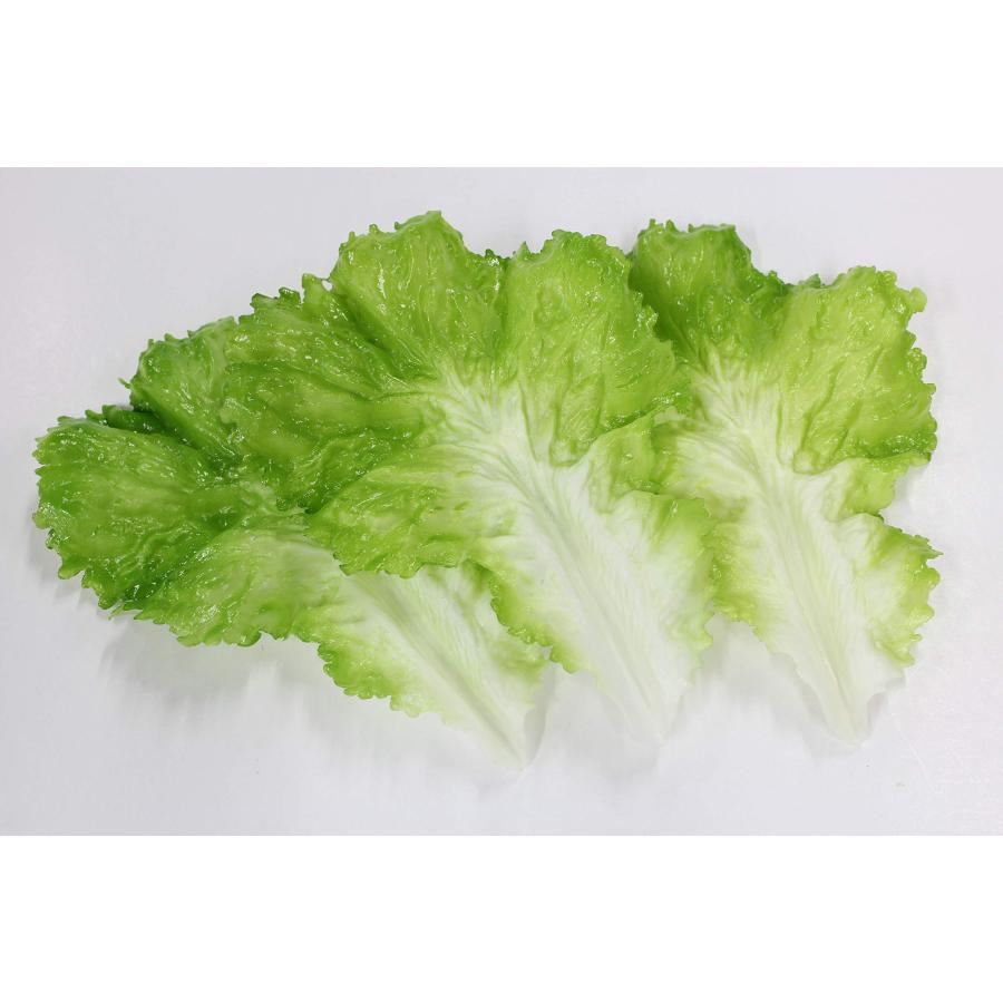 食品サンプル レタスセット 販促 インテリア ディスプレイ (レタス3枚セット) | 