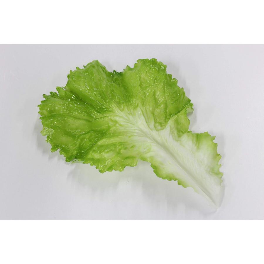 食品サンプル レタスセット 販促 インテリア ディスプレイ (レタス3枚セット) |  | 01