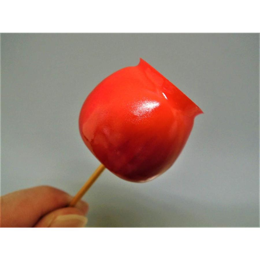 食品サンプル キーホルダー 雑貨 お土産 (りんご飴) |  | 05