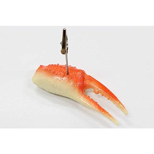 甲殻類のメモクリップ(カニ爪) | 