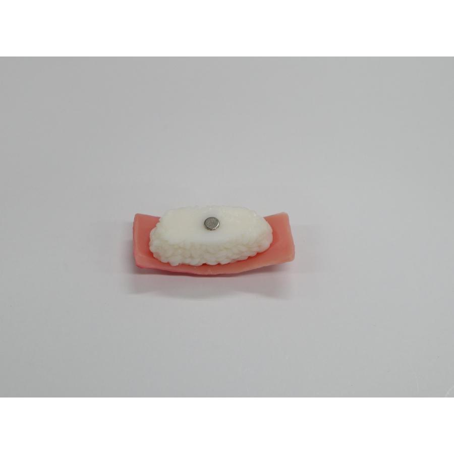 食品サンプル 寿司 マグネット 東京 (中とろ) |  | 01