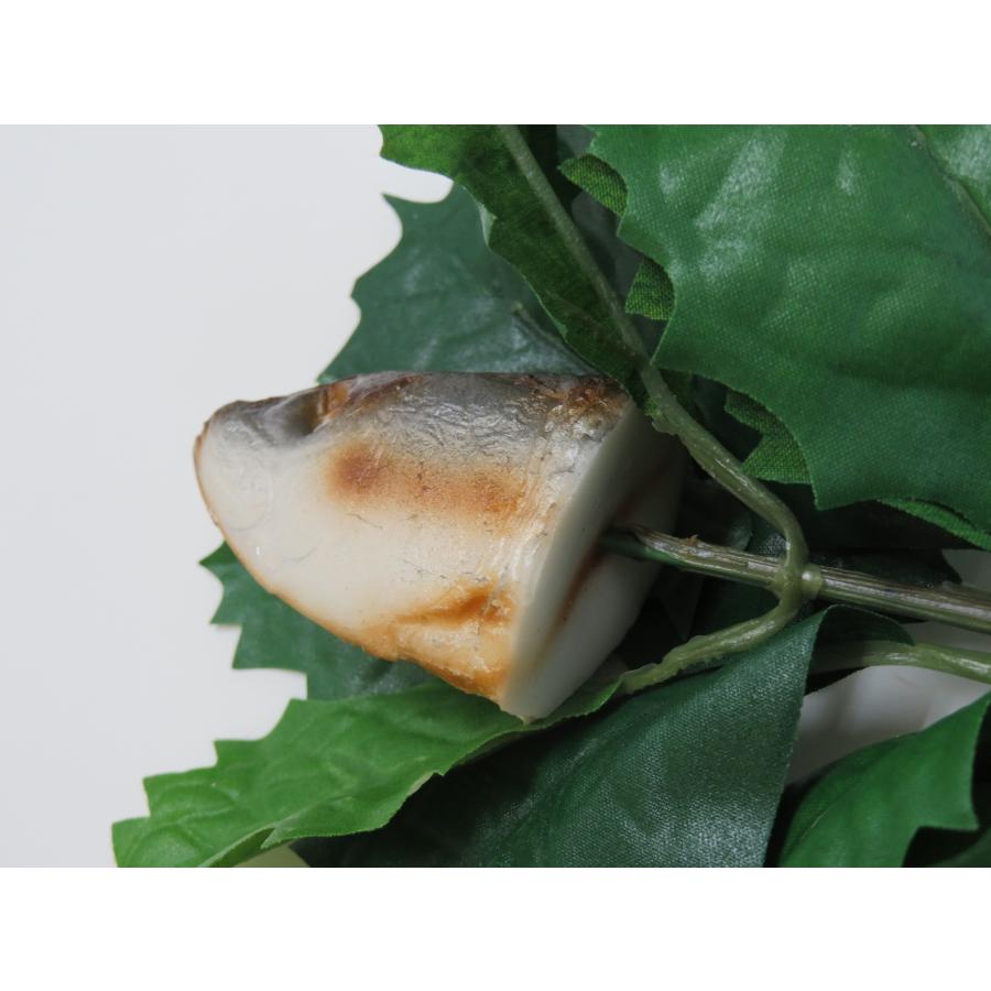 食品サンプル　柊鰯　節分いわし　やいかがし　節分　ディスプレイ |  | 06