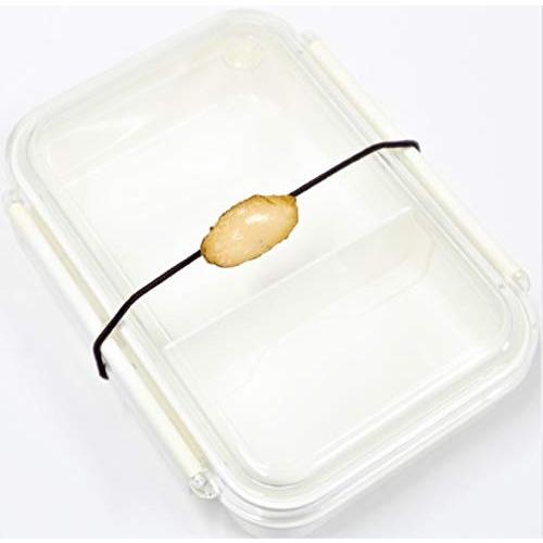 ヘアゴム 寿司 あわび アワビ ランチベルト |  | 01