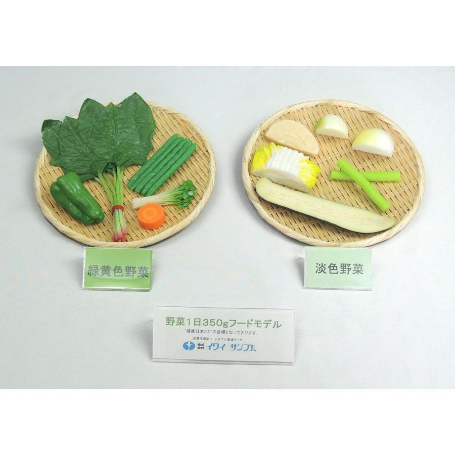 【病院食】栄養指導用食品サンプル 野菜1日350gセット 磁石付き(Bセット) フードモデル ダイエット トレーニング 健康食 | 