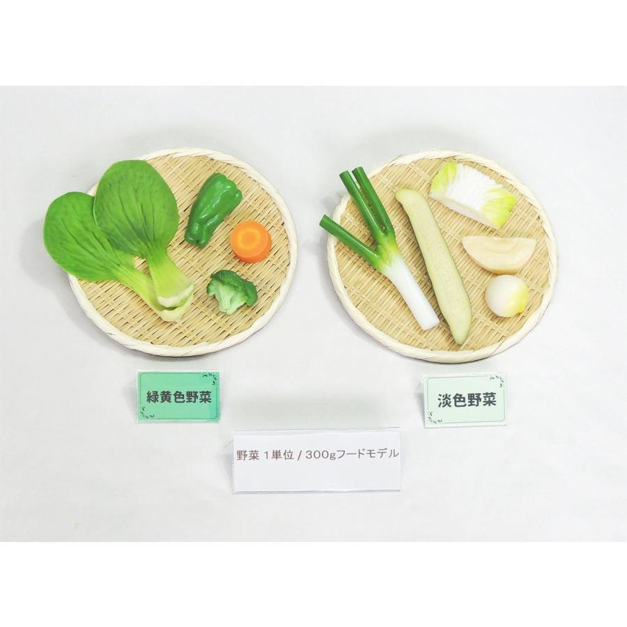 病院食】栄養指導用食品サンプル 糖尿病 野菜1単位300gセット 磁石なし 