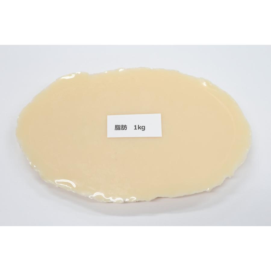 脂肪の塊１kgスタンドディスプレイ（脂肪模型・タンブラービール・泡　３点セット）　機能性ビール・売場店頭販促用　食品サンプル　フードモデル　ダイエット |  | 04