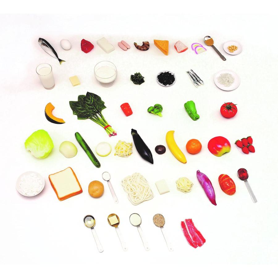 【病院食】52 6つの基礎食品群モデル（50種） 磁石付き フードモデル ダイエット トレーニング 健康食 | 