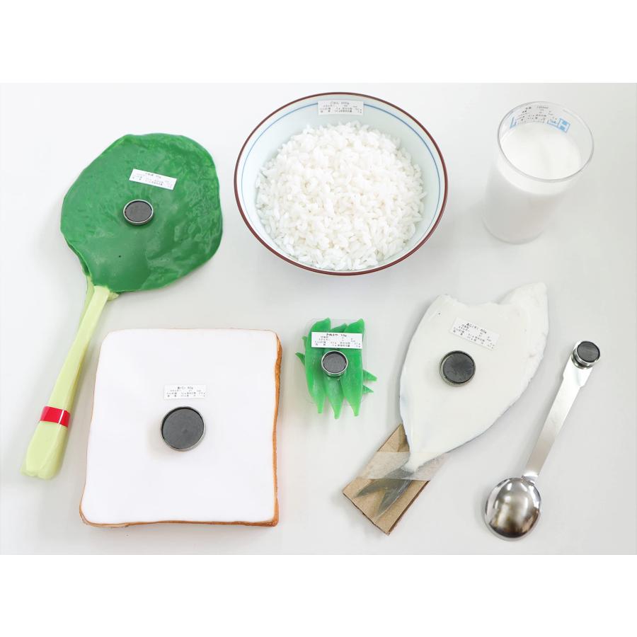 【病院食】52 6つの基礎食品群モデル（50種） 磁石付き フードモデル ダイエット トレーニング 健康食 |  | 01