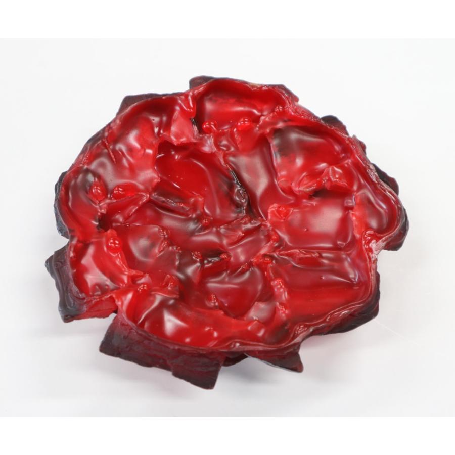 食品サンプル　炭（丸）　販促　ディスプレイ　アウトドア |  | 02