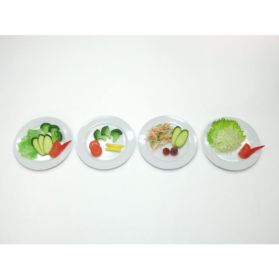 【病院食】糖尿病フリーチョイス「付け合せ野菜」（22） フードモデル トレーニング 健康食 | 