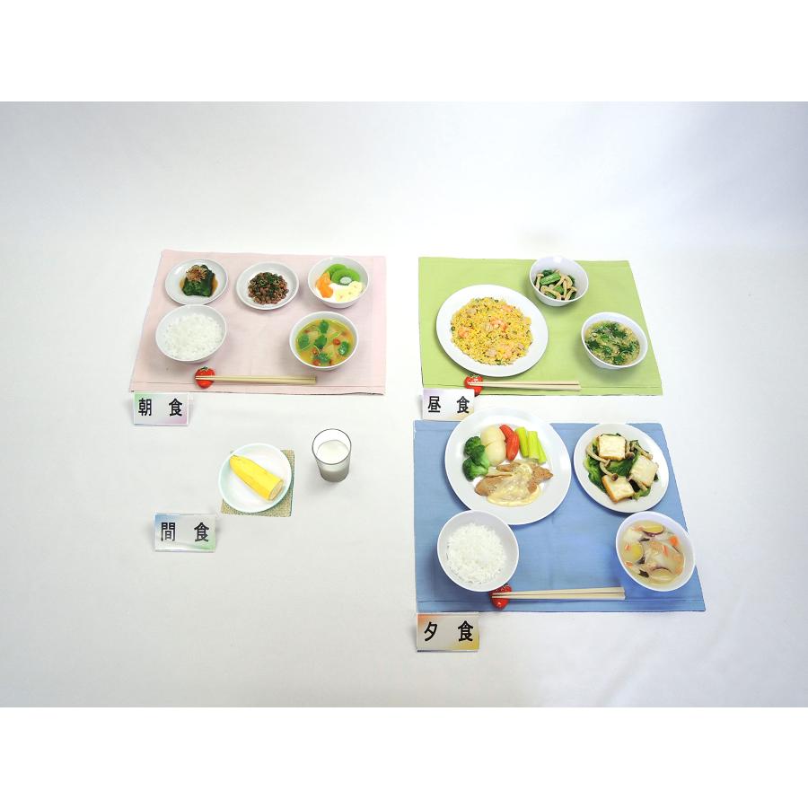 【病院食】フリーチョイスを使った糖尿病20単位 炭水化物55％（1600kcal）ごはんタイプ[32-A] フードモデル トレーニング 健康食 | 