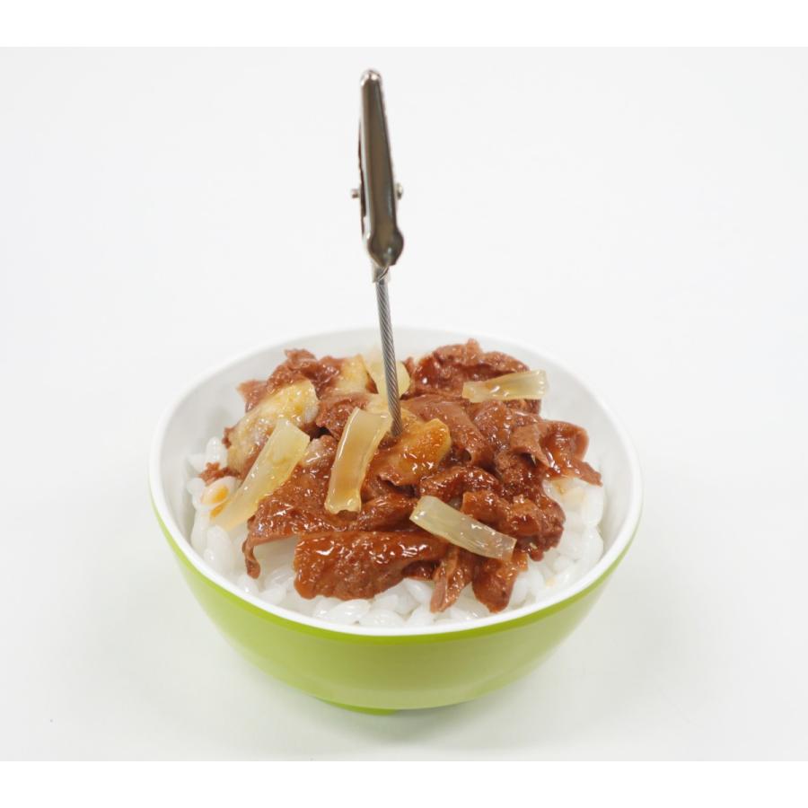 食品サンプル　ミニ牛丼　メモクリップ　ミニチュア | 