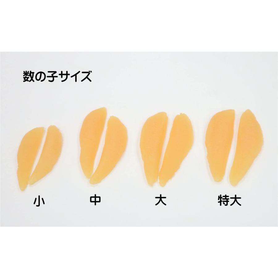 食品サンプル　数の子（小）　30個セット　パーツ　販促　ディスプレイ　かずのこ_3