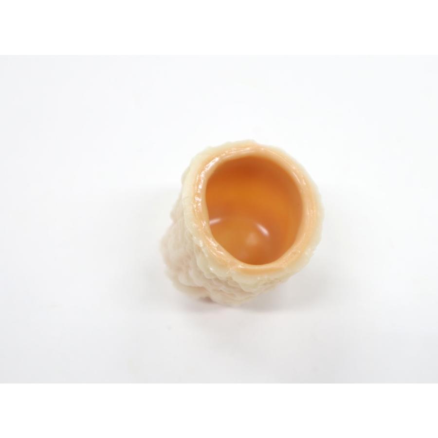 食品サンプル　ペットボトルキャップカバー　シュウマイ（えび） |  | 02