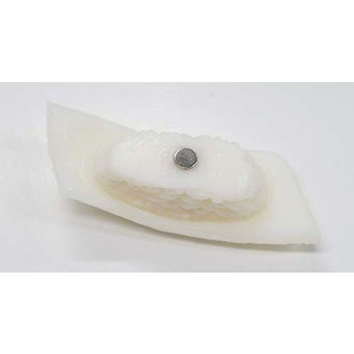 マグネット 寿司 上にぎり (イカ) |  | 01