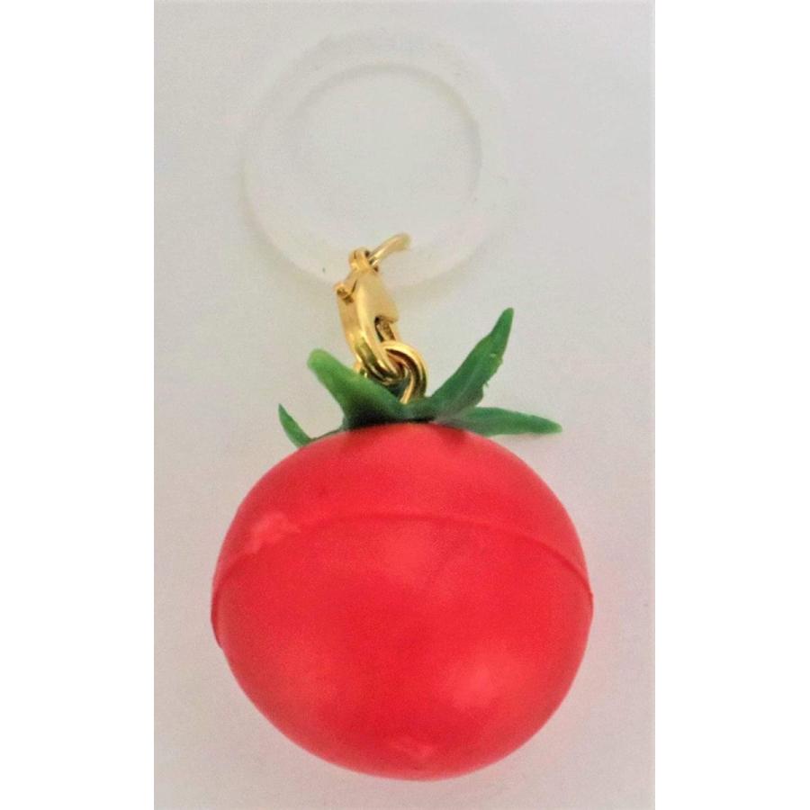 食品サンプル アンブレラマーカー プチトマト　ミニトマト | 