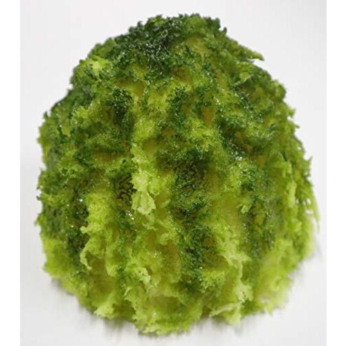 皿用 かき氷（宇治金時） 抹茶 ディスプレイ 販促 |  | 02