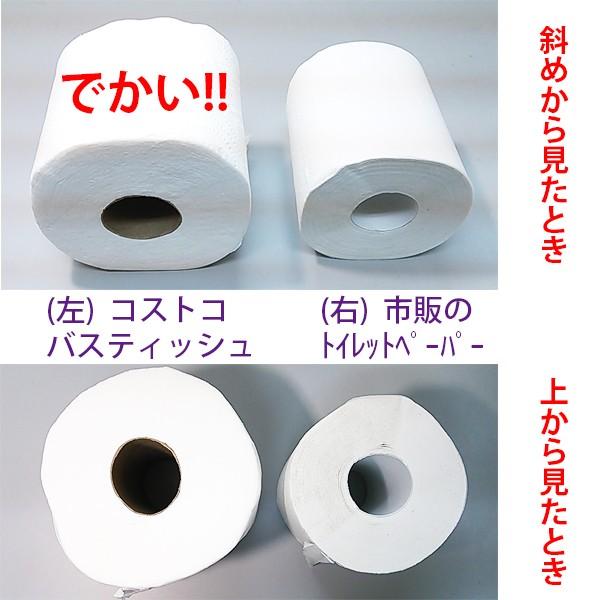 《送料無料》 コストコ カークランド バスティッシュ  6ロール |  | 01