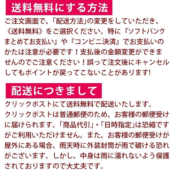 《送料無料》 《数量限定》シック ハイドロ5 Schick　HYDRO5 5枚刃　替刃17個入 |  | 02