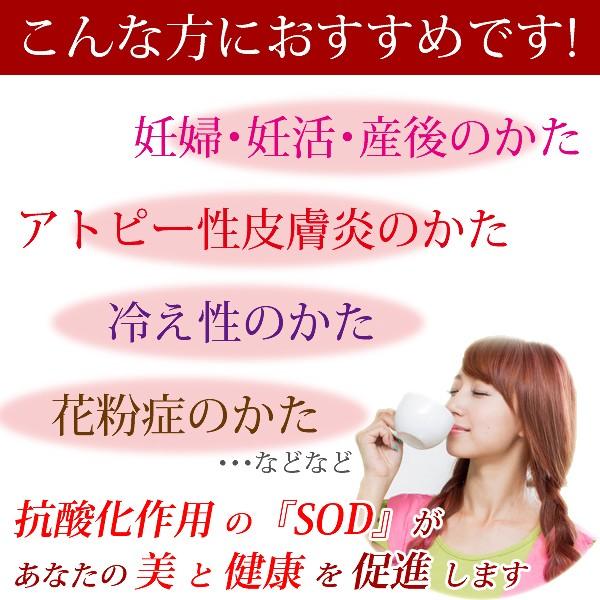 《送料無料》 カーミエン オーガニック ルイボスティ 50g（2.5g×20袋） |  | 03