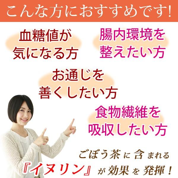 《送料無料》 山本漢方製薬 ごぼう茶 3g×28包(84g) |  | 03