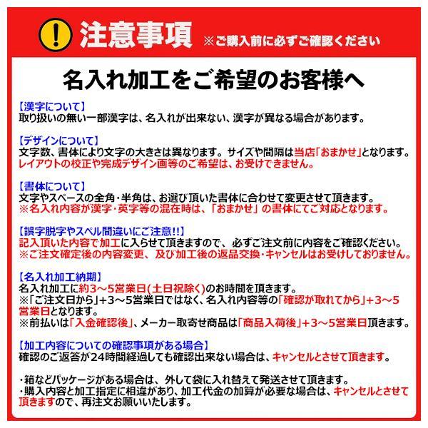 MIZUNO（ミズノ） 【名入れ加工可】【即日発送】ミズノ 練習用
