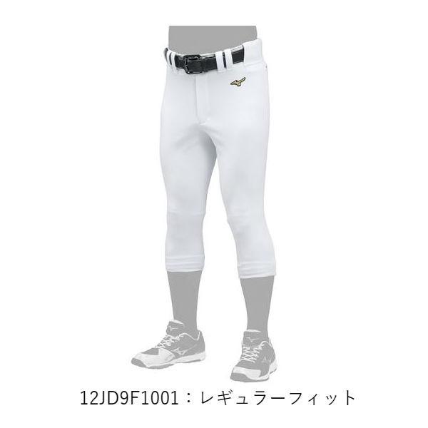 Mizuno Pro ミズノ mizuno ミズノプロ 野球 ストレッチ練習用パンツ
