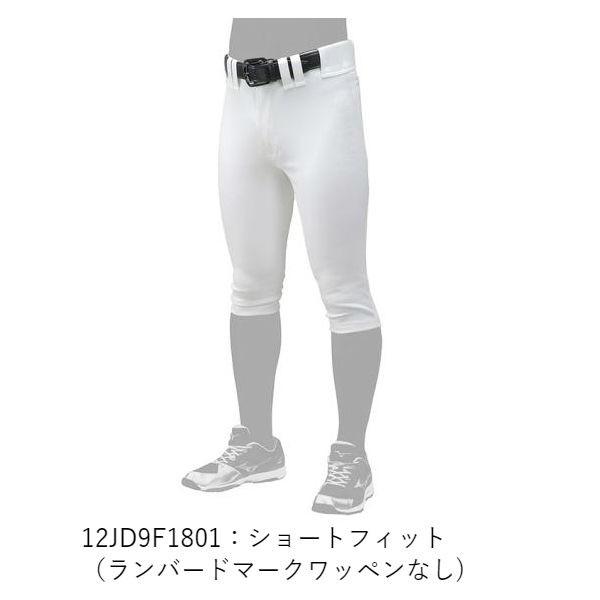 Mizuno Pro ミズノ mizuno ミズノプロ 野球 ストレッチ練習用パンツ