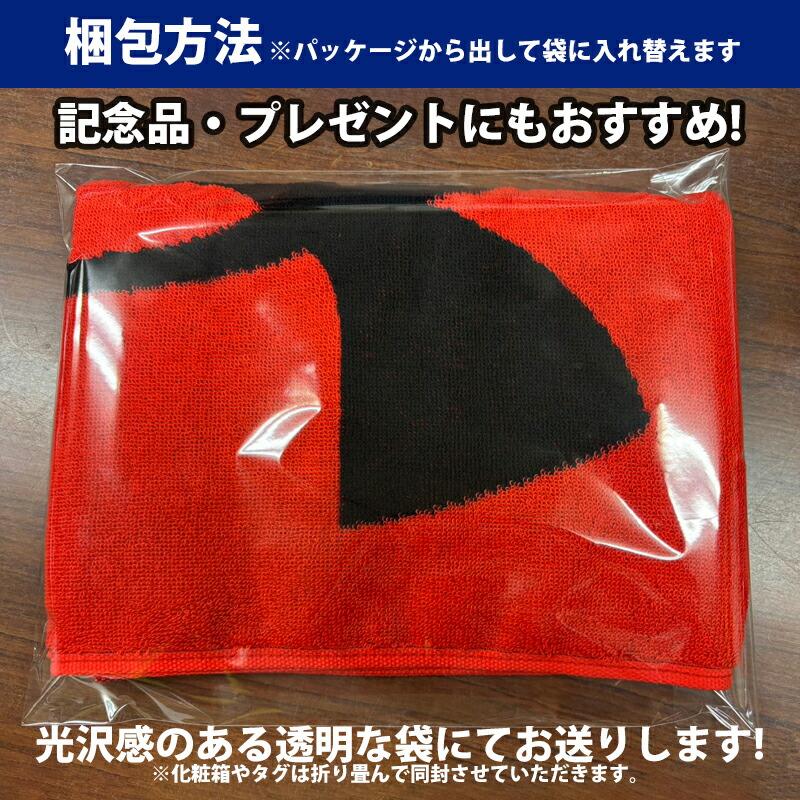 UNDER ARMOUR（アンダーアーマー） [期間限定／名入れ刺繍代込][メール