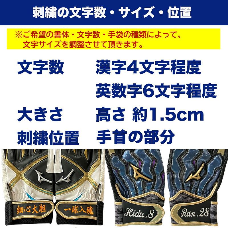 Mizuno Pro [名入れ刺繍可] ミズノプロ MIZUNOPRO モーションアークUF