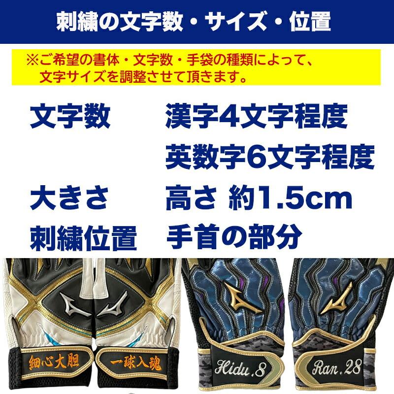 横浜ベイスターズ プロ野球選手 ミズノプロ バッティング