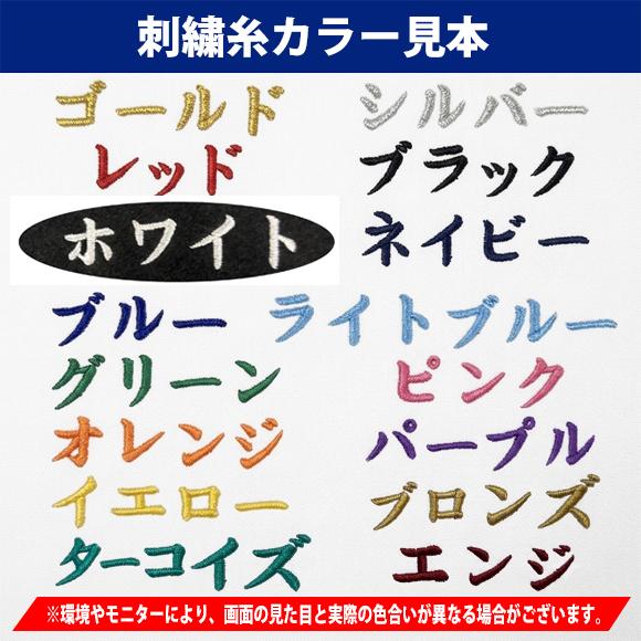 名入れ刺繍可【即日発送】ミズノプロ MIZUNOPRO プロ野球球団イメージ
