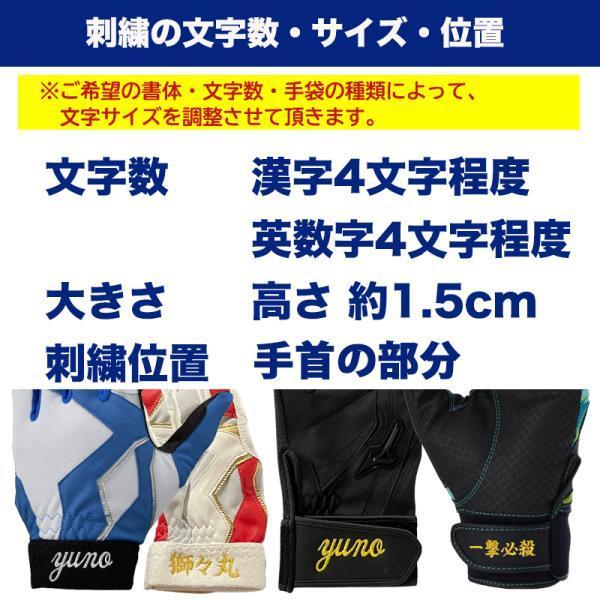 Mizuno Pro 名入れ刺繍可【メール便送料無料】即日発送 ミズノプロ