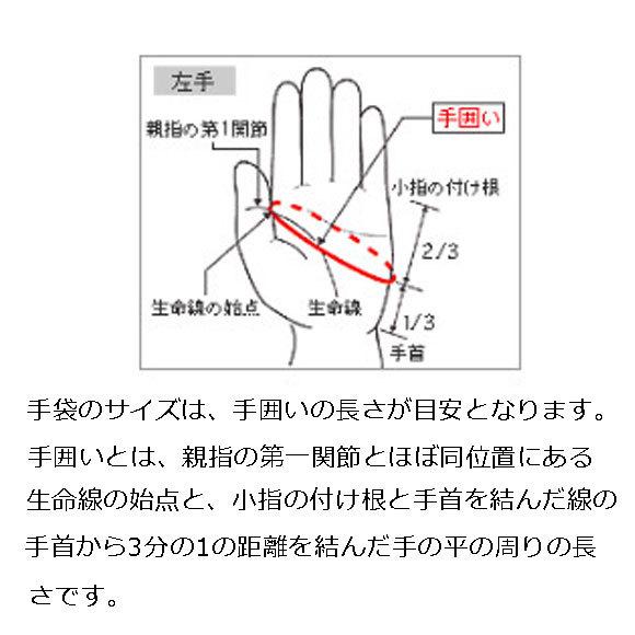 【刺繍対応可】【メール便OK】ミズノ MIZUNO 守備手袋【左手用】ユニセックス 野球 男女兼用 単独水洗い可能 掌部メッシュ素材 22SS 1EJED27001【TYM】2202rn｜samsam｜09