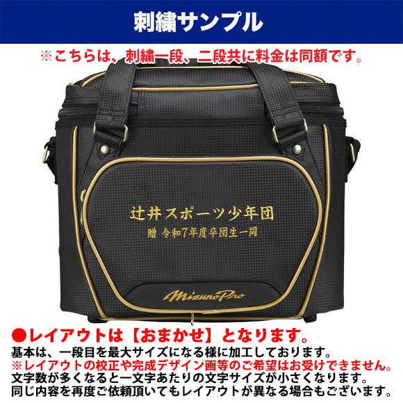 Mizuno Pro [名入れ刺繍可]ミズノプロ MIZUNOPro 野球 ボールケース 兼