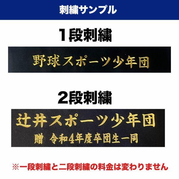 MIZUNO（ミズノ） 【名入れ刺繍可】ミズノ ヘルメットケース 9個入れ