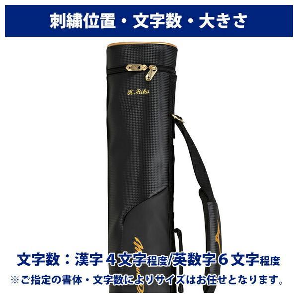 ミズノプロ　BFJ入バット ミズノプロ BFJ入バット 硬式用木製バット ヤナセ ミズノ ミズノプロ bfj