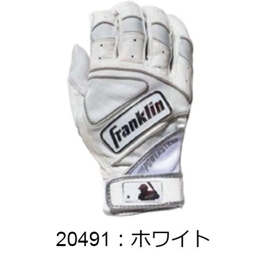 フランクリン 即納【メール便送料無料】フランクリン Franklin