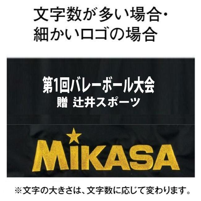 molten & Mikasa 　バレーボール４個中古ボールケース MIKASA（ミカサ） 【名入れ加工可】ミカサ バレーボール&サッカー