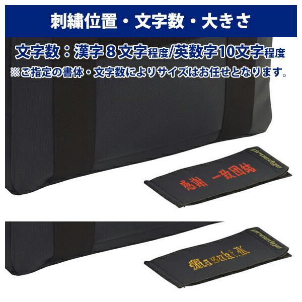 エスエスケイ（SSK） 【名入れ刺繍可】【即日出荷対応】SSK proedge 