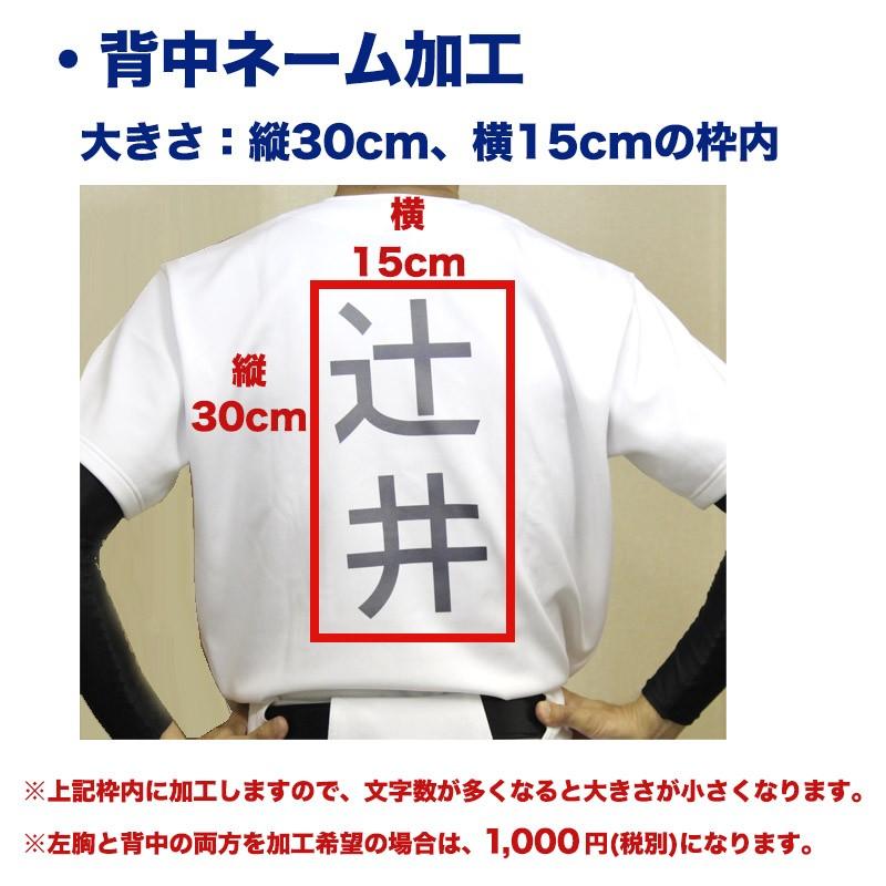 名前入れ加工 野球練習着ユニフォームシャツ用 野球 ソフトボール 練習ウェア ネーム入れ 昇華加工 名入れプリント加工 左胸 背中 Name Uniform 野球専門店ツジイスポーツ 通販 Yahoo ショッピング