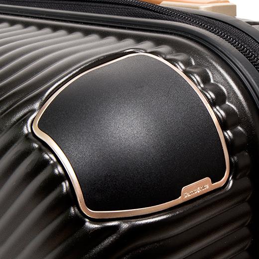 サムソナイト 高級シリーズ BlackLabel リッチモンド　機内持ち込み Samsonite 【先着でノベルティプレゼント中！】スーツケース