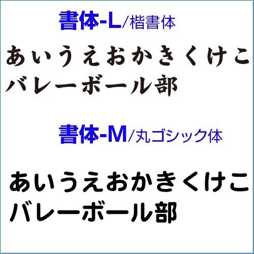スタジアムジャケット Printstar プリントスター S M L Xl オリジナルプリント対応 スタジャン シンプル ダンス イベント メンズ レディース Ll Ssj サンシンスポーツ 通販 Yahoo ショッピング