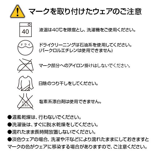 上下セット 大きいサイズ4L 5L  ドライ裏フリースパーカー+ドライ裏フリーススウェットパンツ  オリジナルプリント対応  パーカー 長ズボン 無地｜samsin｜14