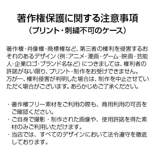名入れ ロゴOK 1個から名入れ刺繍 モルテン トレーナーバッグ molten 救急バッグ 卒業 卒団 記念品 寄贈 部活の画像