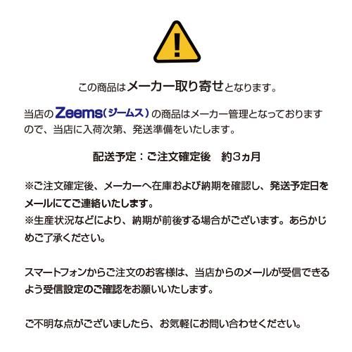 ジームス Zeems ボールケース 5ダース用 エナメル エナメルバッグ スポーツバッグ ショルダー 野球 ネイビーの画像