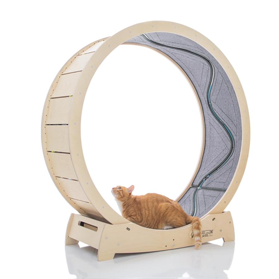 スターキャットホイール、キャットトレッドミル、室内の猫用 スターキャットホイール、キャットトレッドミル、室内の猫用