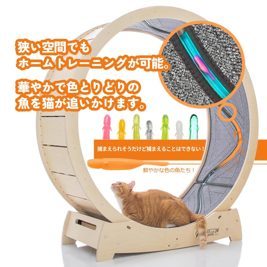 スターキャットホイール、キャットトレッドミル、室内の猫用 スターキャットホイール、キャットトレッドミル、室内の猫用