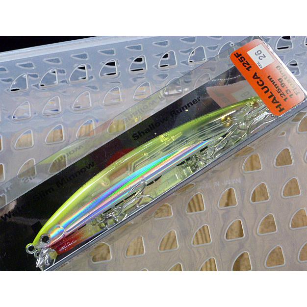 SMITH（スミス） ハルカ125F #26.JNクリアーチャート : CURIOSITY