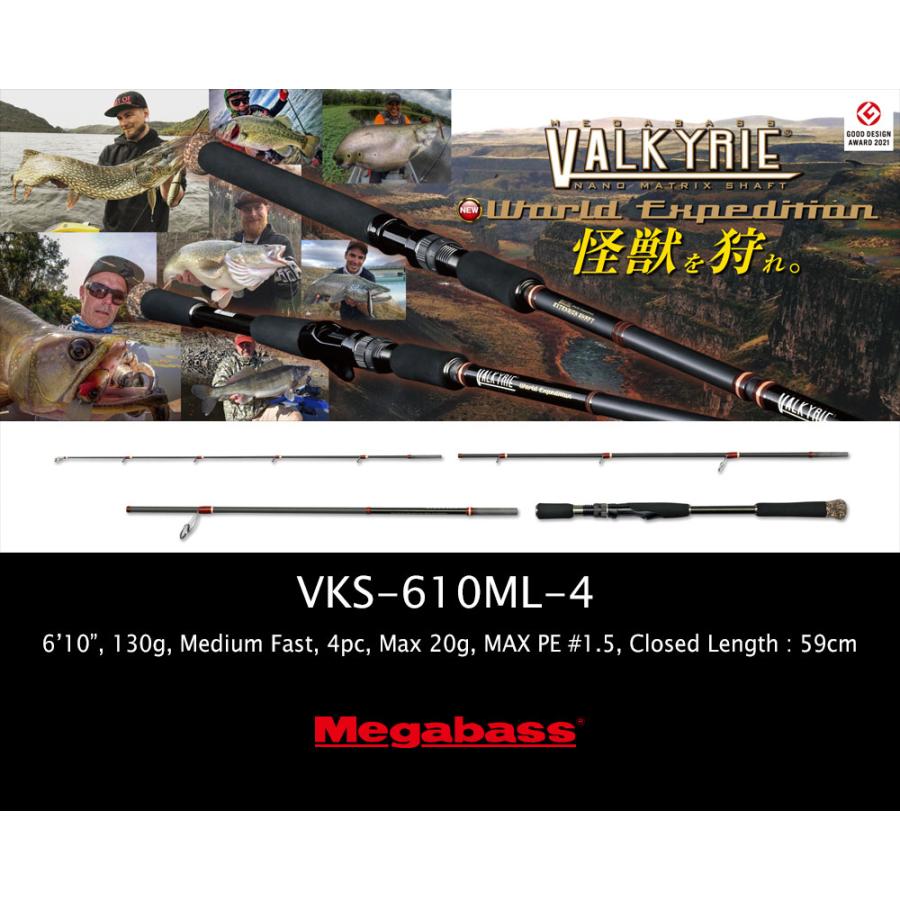 ヴァルキリー MEGABASS VALKYRIE World Expedition Multi VKS